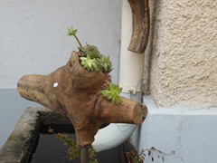 DSCN0396